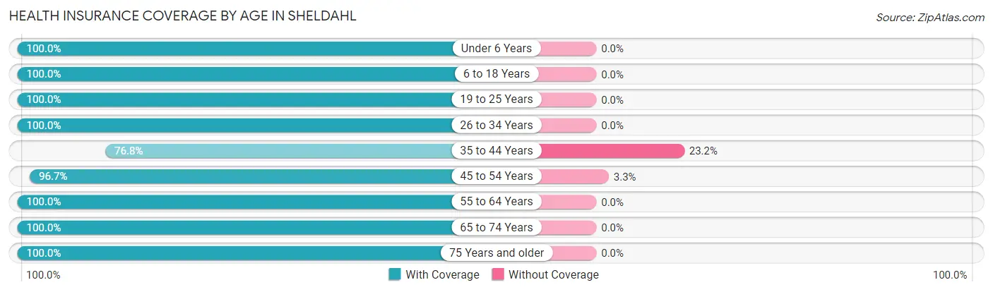 Health Insurance Coverage by Age in Sheldahl