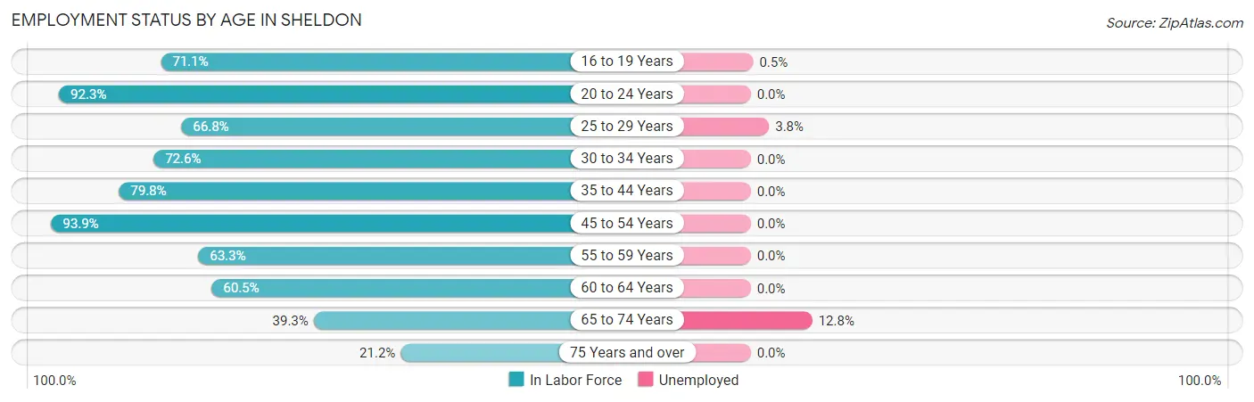 Employment Status by Age in Sheldon