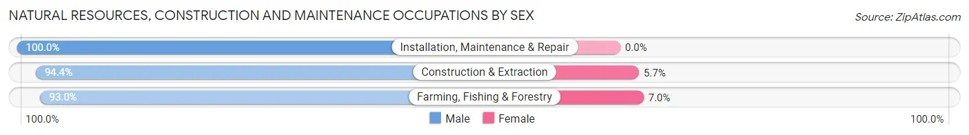 Natural Resources, Construction and Maintenance Occupations by Sex in Sibley