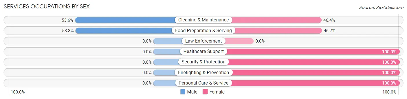 Services Occupations by Sex in Sibley