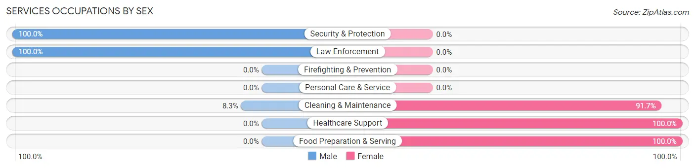 Services Occupations by Sex in Silver City