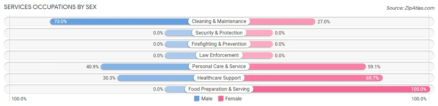 Services Occupations by Sex in Sloan