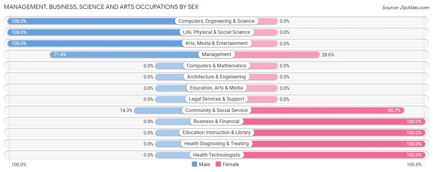 Management, Business, Science and Arts Occupations by Sex in Soldier