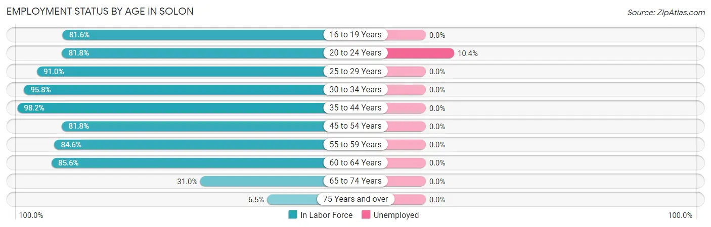 Employment Status by Age in Solon