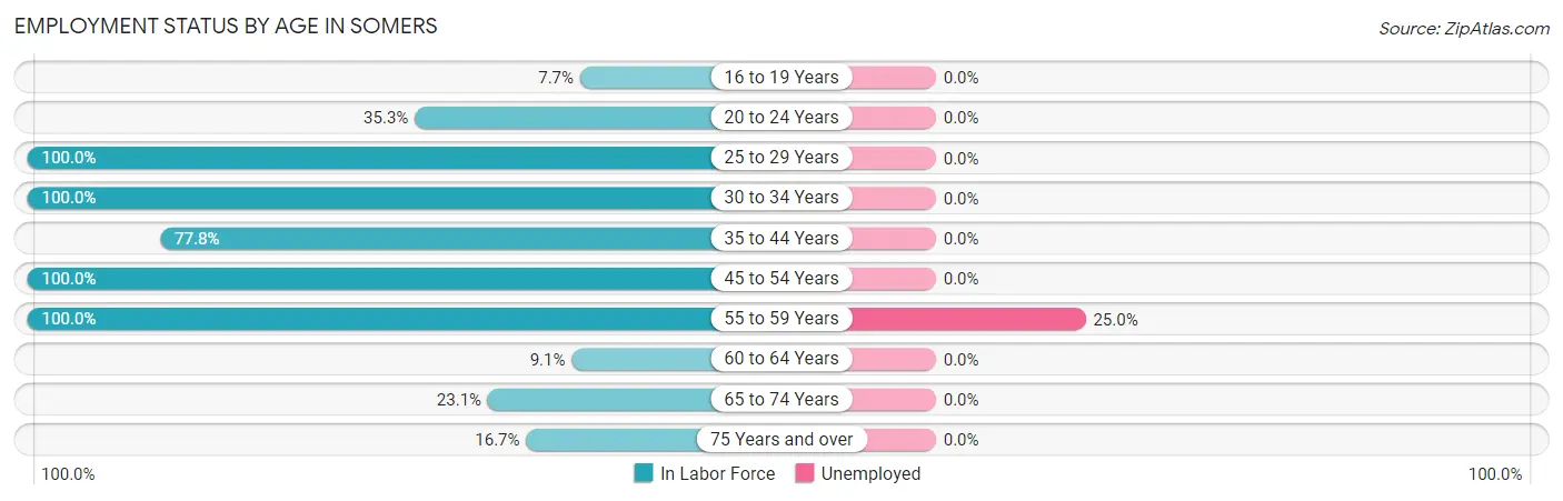 Employment Status by Age in Somers