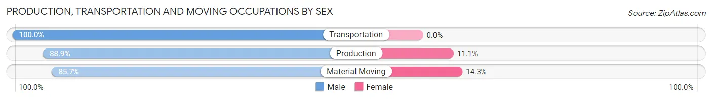 Production, Transportation and Moving Occupations by Sex in South English