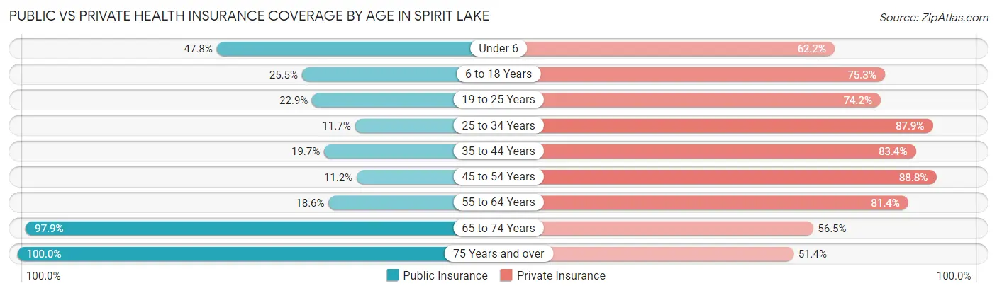 Public vs Private Health Insurance Coverage by Age in Spirit Lake