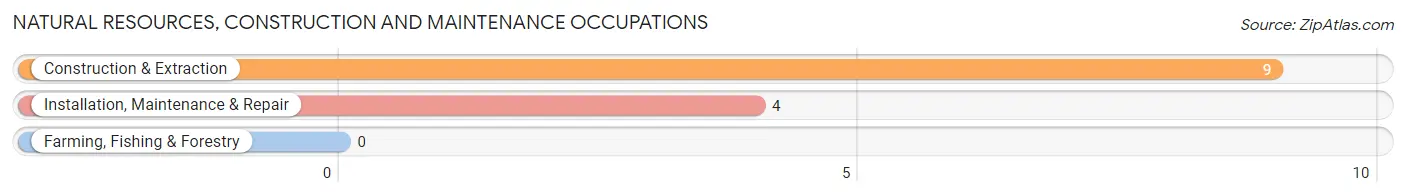 Natural Resources, Construction and Maintenance Occupations in Springbrook