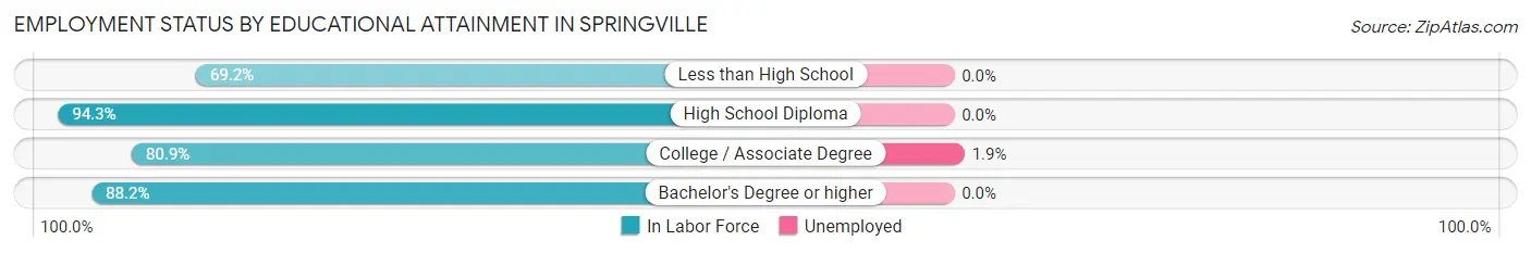Employment Status by Educational Attainment in Springville