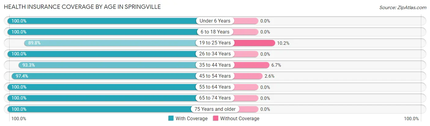 Health Insurance Coverage by Age in Springville