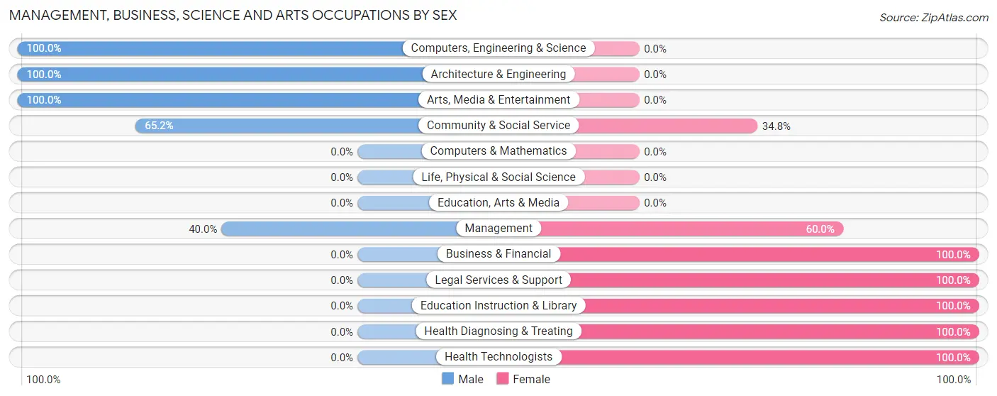 Management, Business, Science and Arts Occupations by Sex in Stacyville