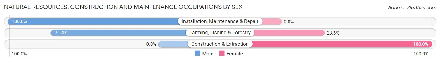 Natural Resources, Construction and Maintenance Occupations by Sex in Stockport
