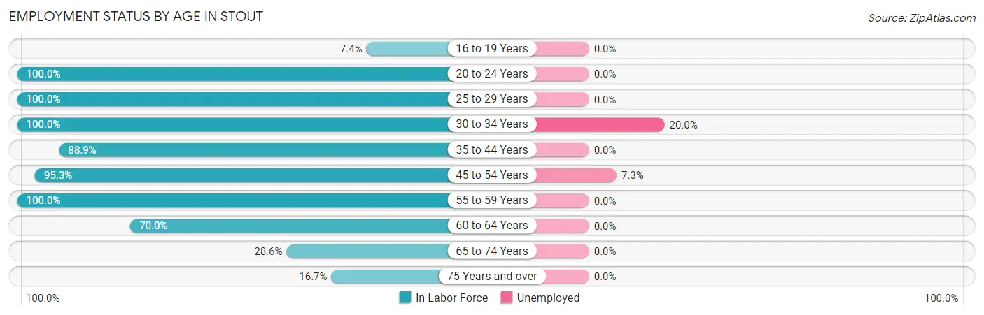 Employment Status by Age in Stout