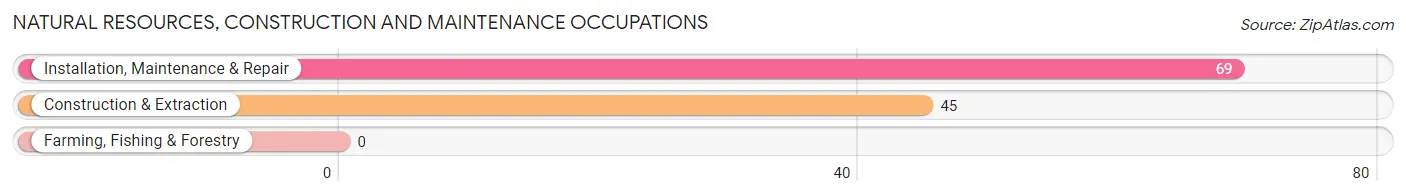 Natural Resources, Construction and Maintenance Occupations in Strawberry Point