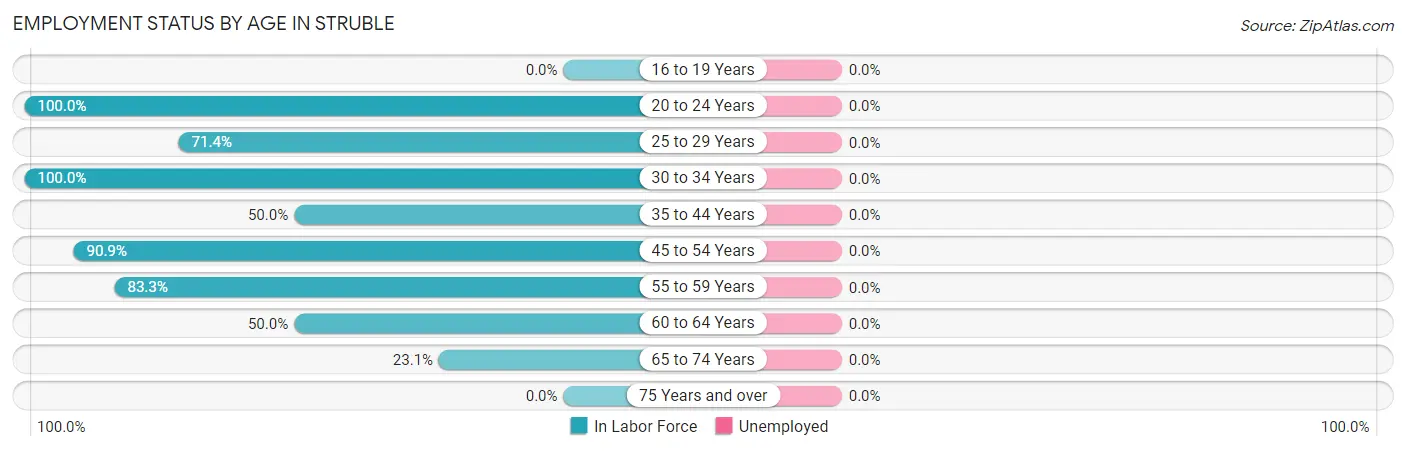 Employment Status by Age in Struble