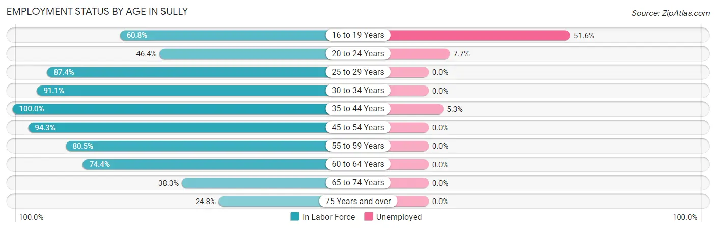 Employment Status by Age in Sully