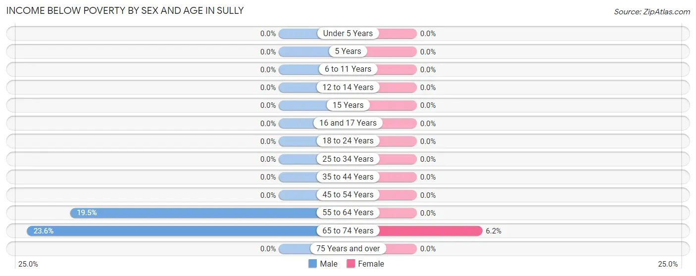 Income Below Poverty by Sex and Age in Sully