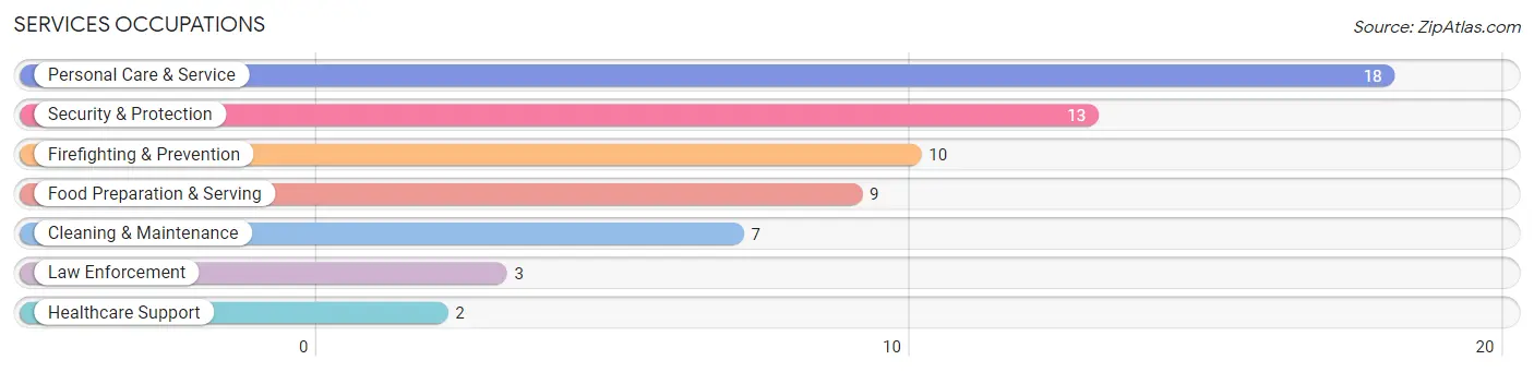 Services Occupations in Swisher