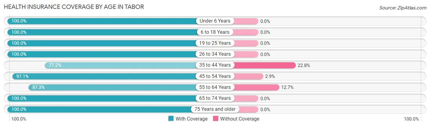 Health Insurance Coverage by Age in Tabor