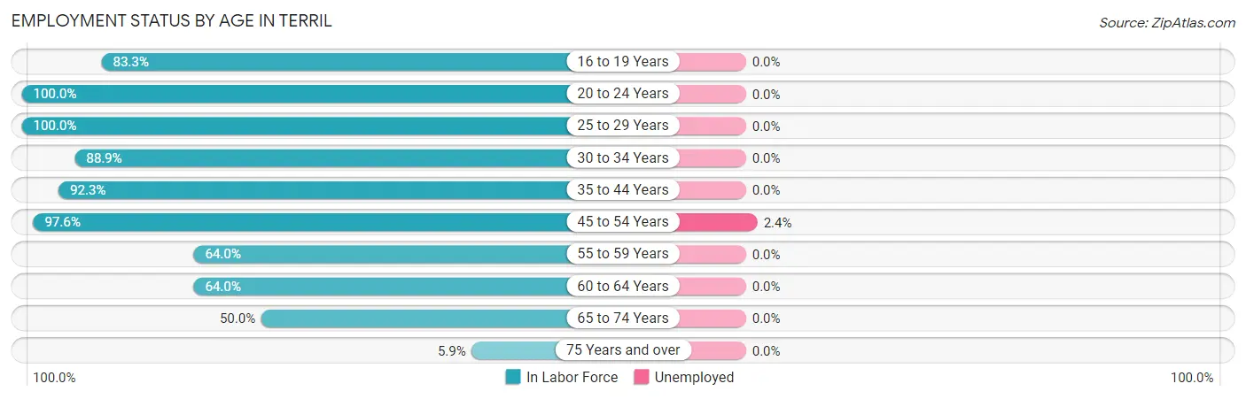 Employment Status by Age in Terril
