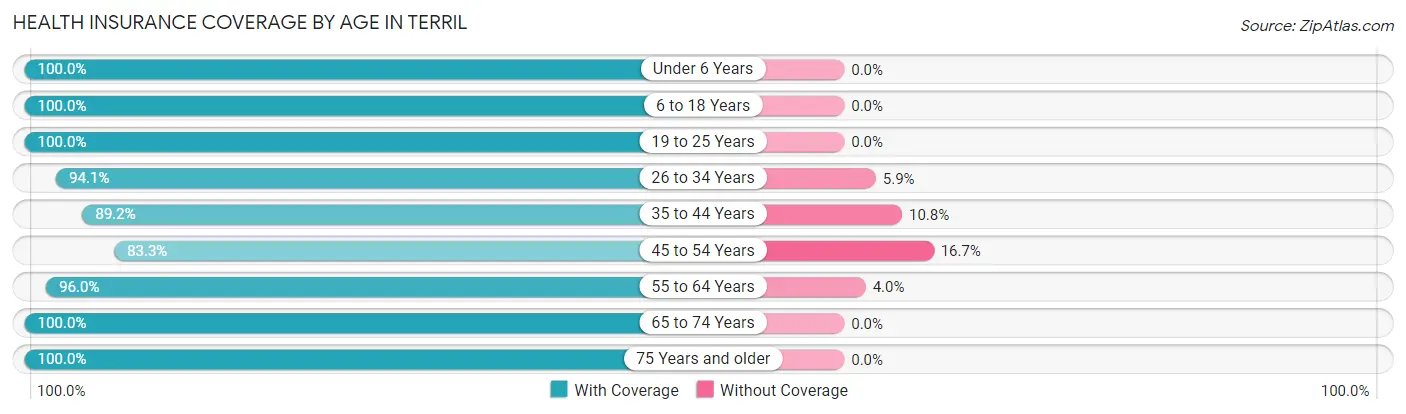 Health Insurance Coverage by Age in Terril