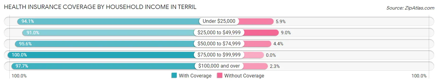 Health Insurance Coverage by Household Income in Terril