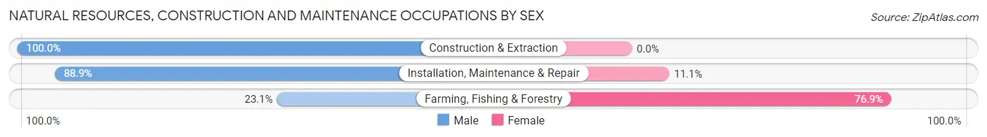 Natural Resources, Construction and Maintenance Occupations by Sex in Thompson