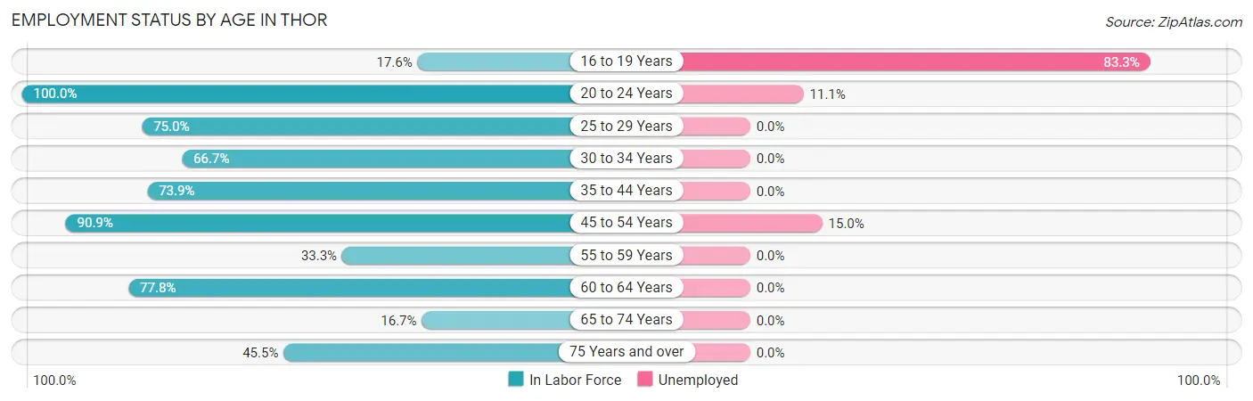 Employment Status by Age in Thor