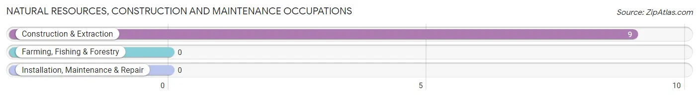 Natural Resources, Construction and Maintenance Occupations in Tingley