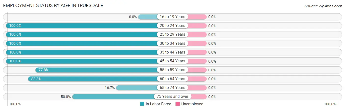 Employment Status by Age in Truesdale
