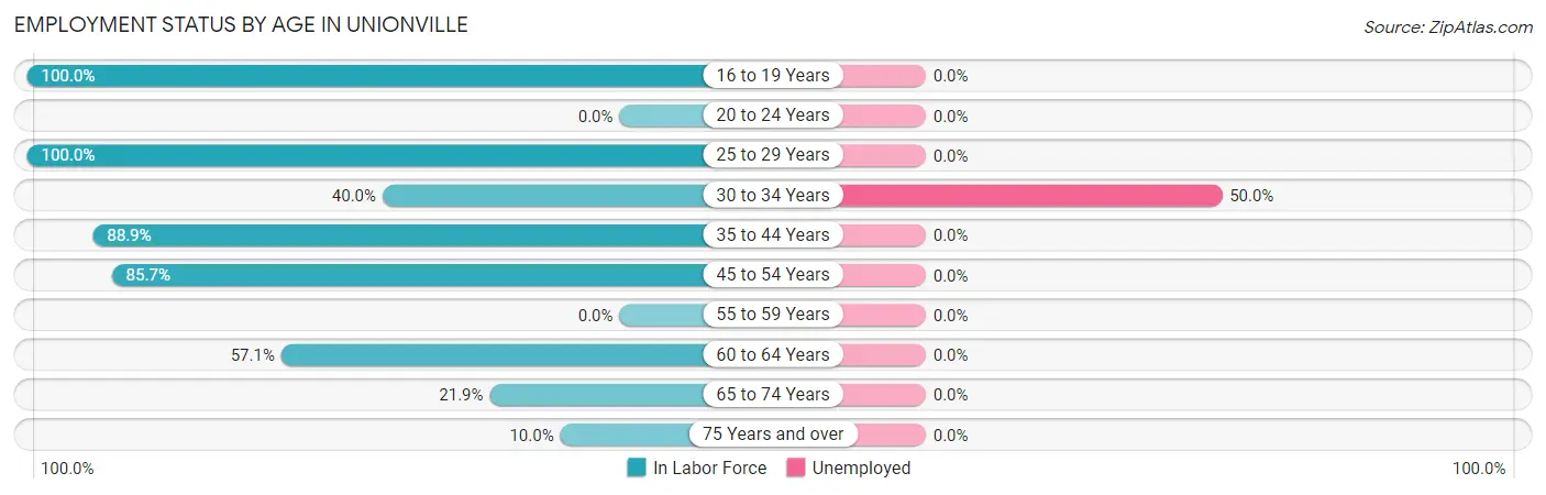 Employment Status by Age in Unionville