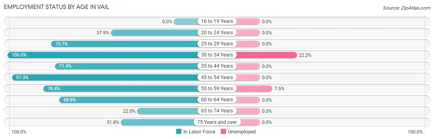 Employment Status by Age in Vail