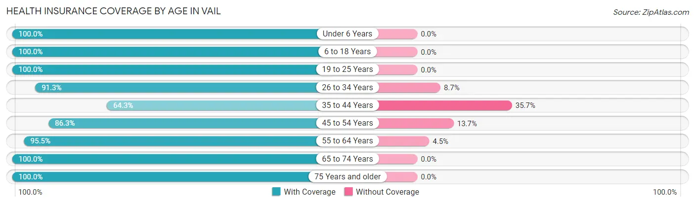Health Insurance Coverage by Age in Vail