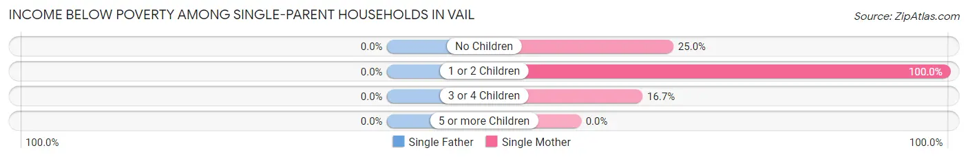 Income Below Poverty Among Single-Parent Households in Vail