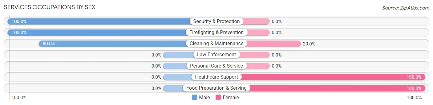 Services Occupations by Sex in Vail