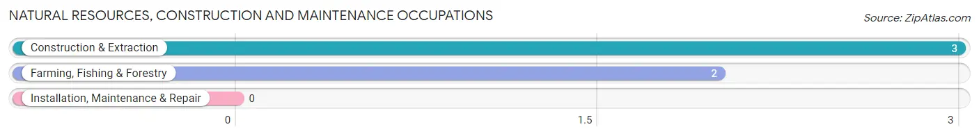 Natural Resources, Construction and Maintenance Occupations in Varina