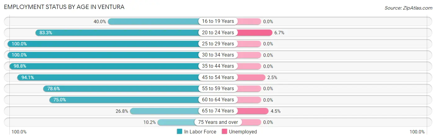 Employment Status by Age in Ventura