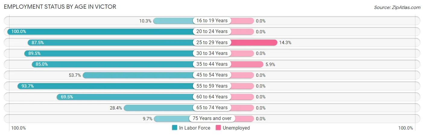 Employment Status by Age in Victor