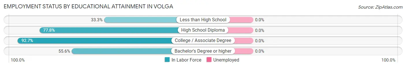 Employment Status by Educational Attainment in Volga