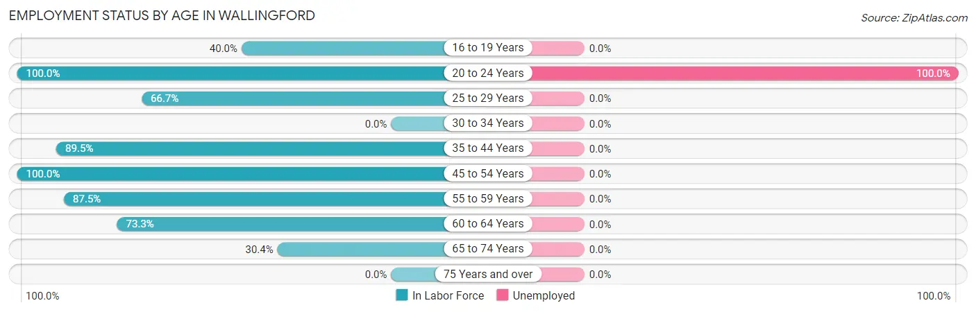 Employment Status by Age in Wallingford