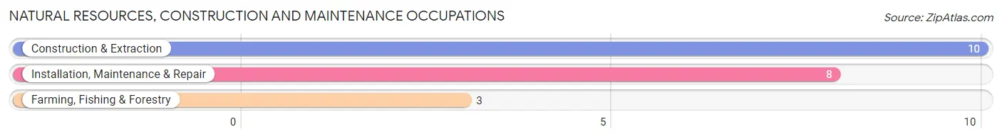 Natural Resources, Construction and Maintenance Occupations in Walnut