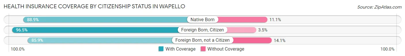 Health Insurance Coverage by Citizenship Status in Wapello