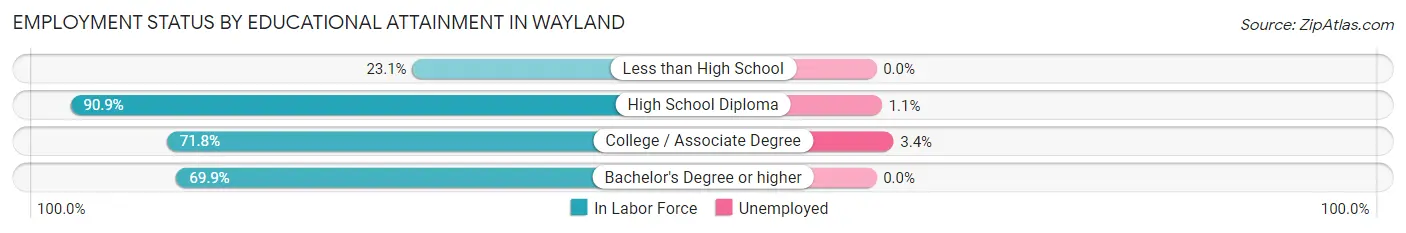 Employment Status by Educational Attainment in Wayland