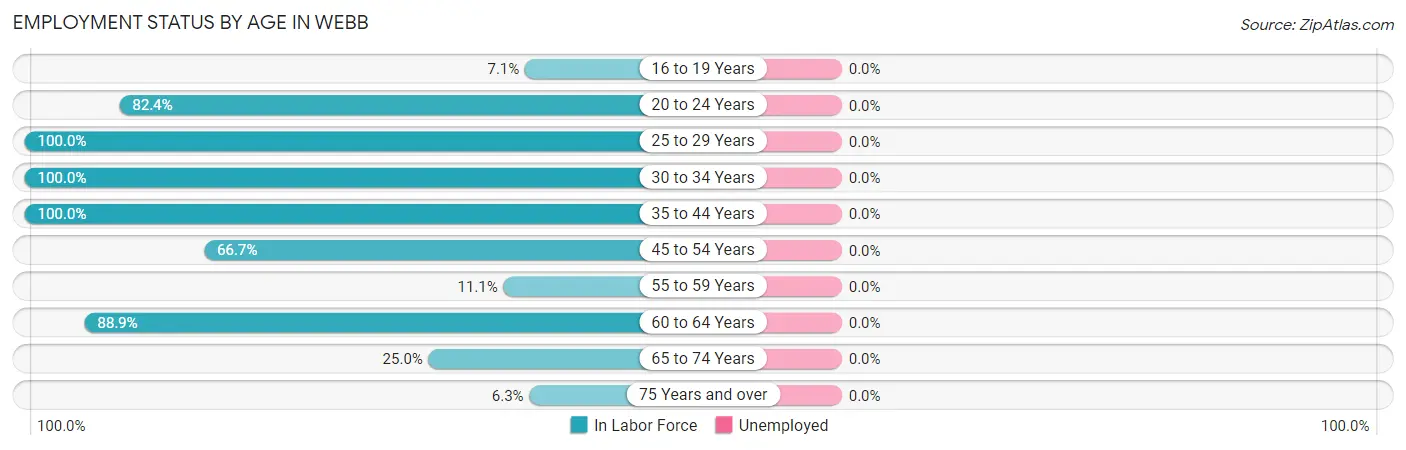 Employment Status by Age in Webb