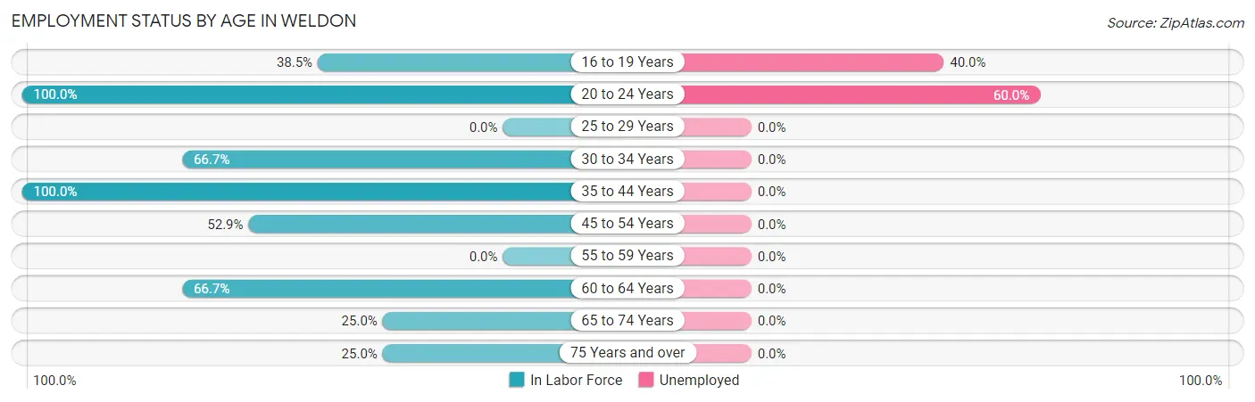 Employment Status by Age in Weldon