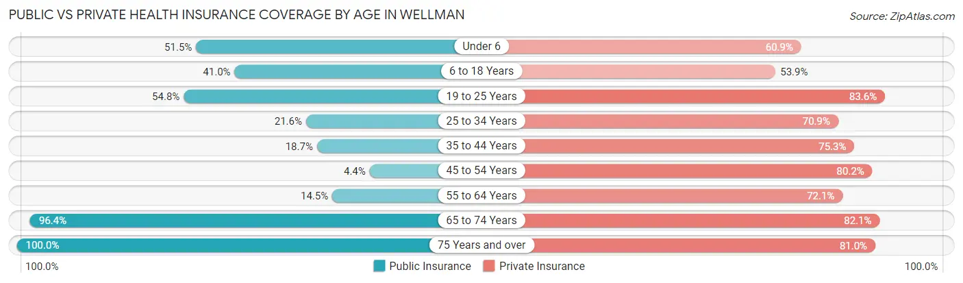 Public vs Private Health Insurance Coverage by Age in Wellman