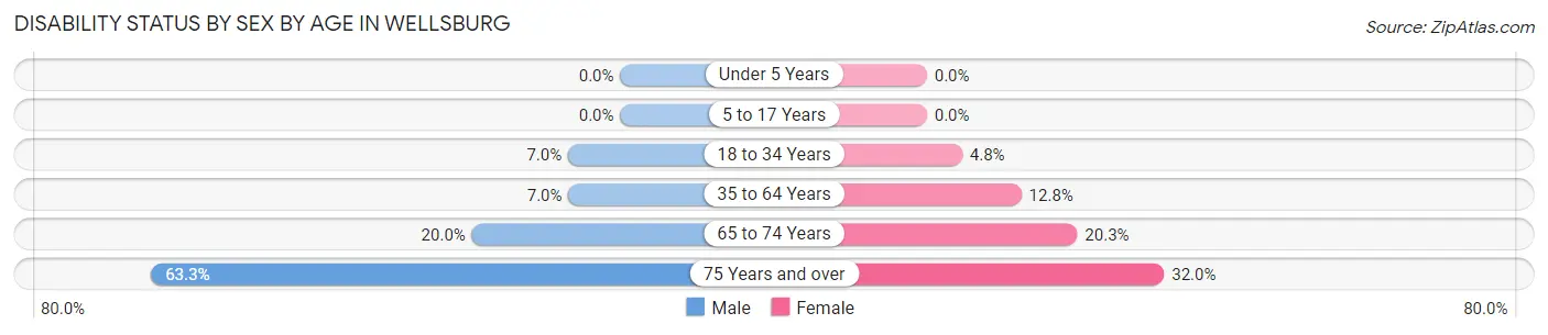 Disability Status by Sex by Age in Wellsburg