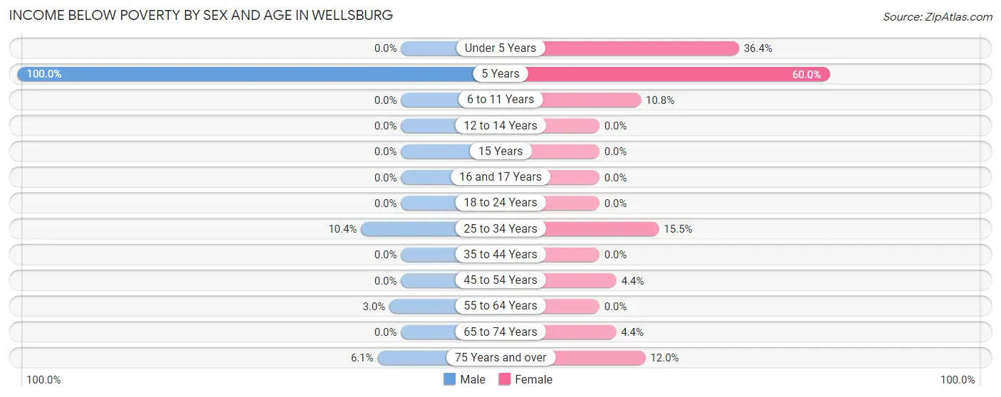 Income Below Poverty by Sex and Age in Wellsburg