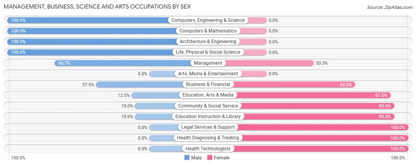Management, Business, Science and Arts Occupations by Sex in Wellsburg