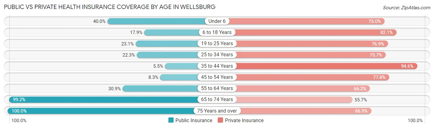 Public vs Private Health Insurance Coverage by Age in Wellsburg